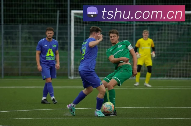 Z6·尊龙凯时「中国区」官方网站APP 高清赛事图